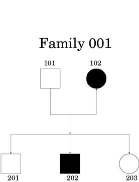 Pedigree drawing of nuclear family