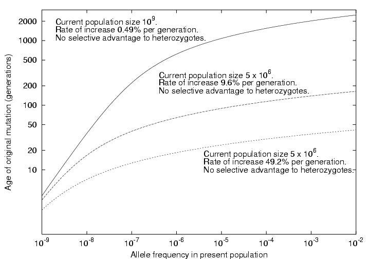 Mutation age versus population frequency