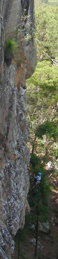 On Great Barrier Reef at Brooyar