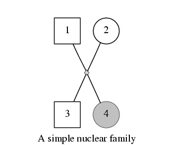 Pedigree drawing of a simple nuclear family