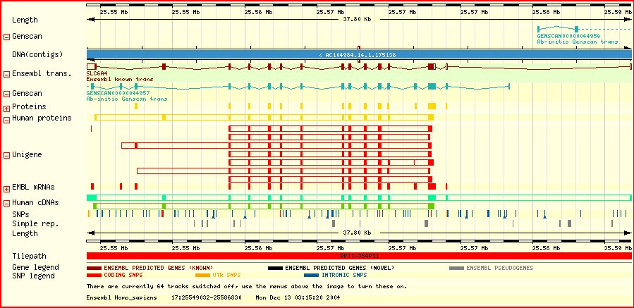 40 kbp around SLC6A4