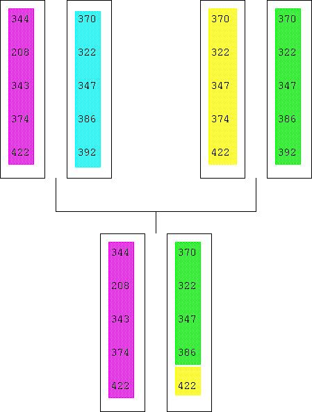 A recombinant haplotype