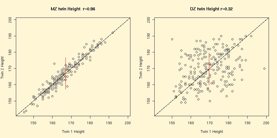 twin r for height